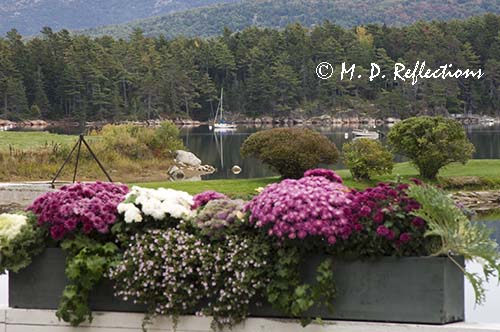 Harbor at Somesville, ME