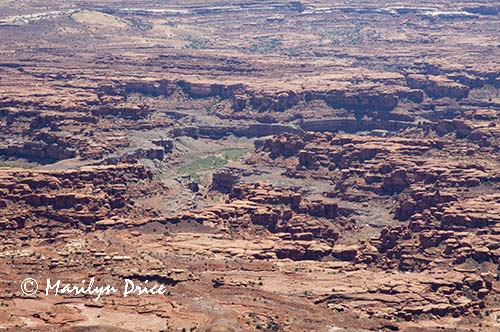 Colorado River from Needles Overlook into Canyonlands National Park, UT