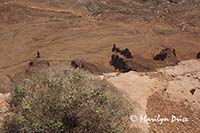 One of the many jeep trails visible from Needles Overlook into Canyonlands National Park, UT