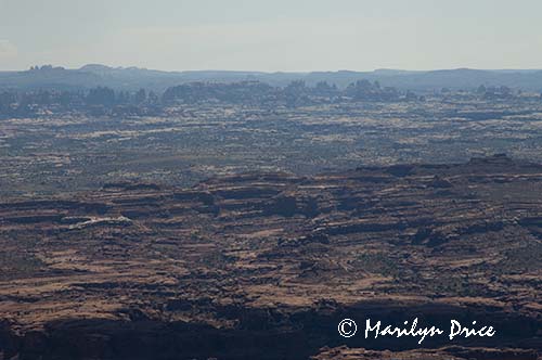 The Needles, Needles Overlook into Canyonlands National Park, UT