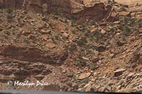 Jenny and Jim on the Shafer Jeep Trail, Canyonlands National Park, UT