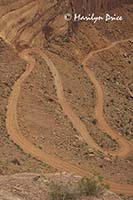 Bicyclists riding down Shafer Jeep Trail, Canyonlands National Park, UT