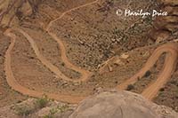 Bicyclists riding down Shafer Jeep Trail, Canyonlands National Park, UT