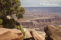 View from Grand View Point, Canyonlands National Park, UT