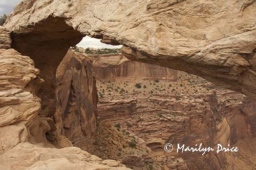 Mesa Arch, Canyonlands National Park, UT