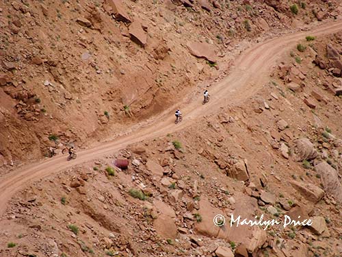 Bicyclists riding down Shafer Jeep Trail, Canyonlands National Park, UT