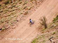 Bicyclists riding down Shafer Jeep Trail, Canyonlands National Park, UT