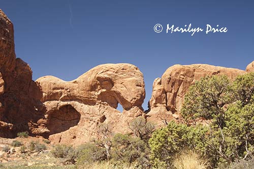 Elephant Butte, Arches National Park, UT