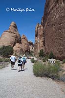 Fins at the beginning of Devil's Garden Trail, Arches National Park, UT