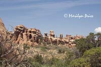 Formations along Devil's Garden Trail, Arches National Park, UT