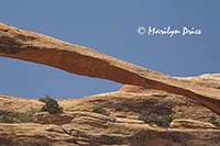 Landscape Arch, Devil's Garden Trail, Arches National Park, UT