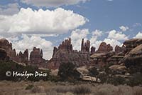 A portion of the Needles formation, Canyonlands National Park, UT