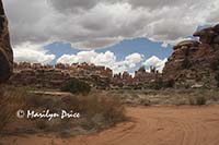 Needles visible from Devil's Kitchen, Elephant Hill jeep trail, Canyonlands National Park, UT