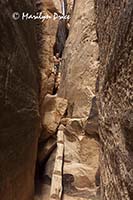 Jenny looks back over the log ladder that I balked at, Slot canyon, Joint Trail, Canyonlands National Park, UT