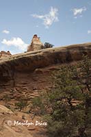 Canyon view near the Slot canyon, Joint Trail, Canyonlands National Park, UT