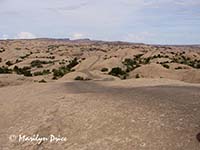 The jeep trail over Fins and Things is delineated by the tire marks, near Moab, UT