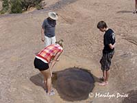 Jim, Jessi, and Jake examine the tadpoles in a sinkhole, near Moab, UT