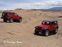 So, which way do we go from here?, jeep trail near Moab, UT