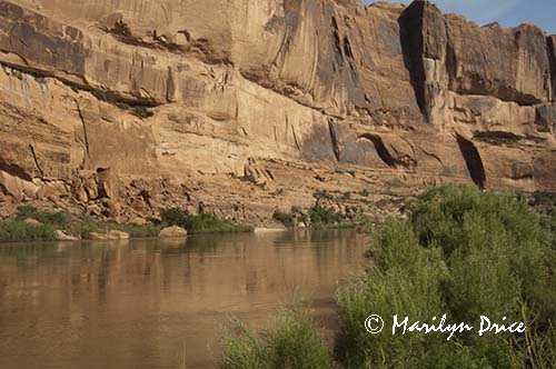 Colorado River near Moab, UT