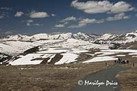 Tundra Communities Trail and our road, Rocky Mountain National Park, CO
