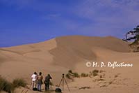 Photographers and sand dunes, South Jetty and Dunes, near Florence, OR