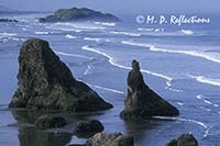 Bandon Beach, OR