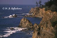 Cliffs surrounding Cape Arago, OR