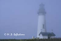 Yaquina Head Light, OR