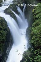 Sol Duc Falls, Olympic National Park, WA