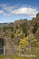 Train tracks enter a tunnel along side of the Columbia River near Chamberlain Lake, WA