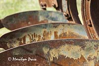 Blades of a moldboard plow