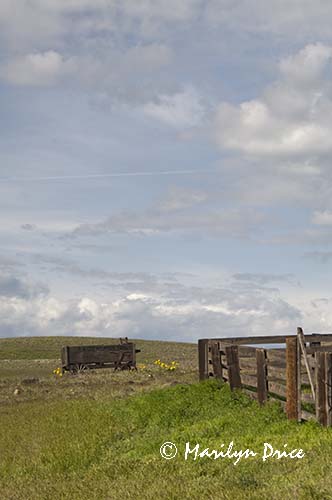 Fence and old wagon, Dalles Mountain State Park, WA