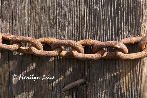 Chain around a fence post