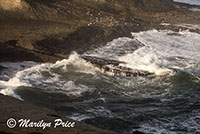 Waves, Cape Kiwanda, OR