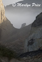 Layers of rock formations in the morning mist, Cape Kiwanda, OR