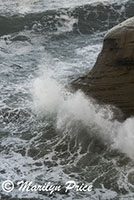 Waves, Cape Kiwanda, OR