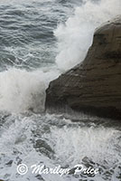 Waves, Cape Kiwanda, OR