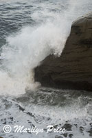 Waves, Cape Kiwanda, OR