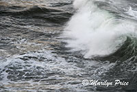 Waves, Cape Kiwanda, OR