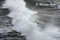 Waves, Cape Kiwanda, OR