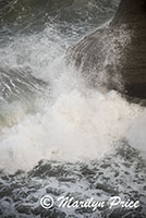 Waves, Cape Kiwanda, OR