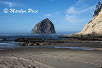 Seastack at Cape Kiwanda, OR