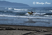 Landing a dory boat, Cape Kiwanda, OR