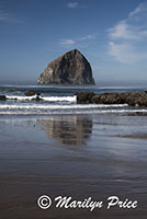 Seastack and reflection, Cape Kiwanda, OR