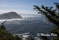 Coastline with wisps of fog, Cape Meares, OR