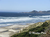 Yaquina Point Lighthouse from Nye Beach, OR