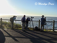 Nancy, Bill, Marilyn, and Jesse shooting waves, Boiler Bay, OR