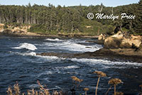 Coastline and waves, Boiler Bay, OR