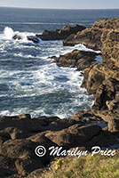 Coastline and waves, Boiler Bay, OR