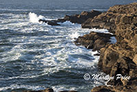 Coastline and waves, Boiler Bay, OR